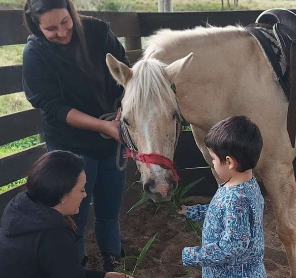 Captura de tela 2026-04-16 174036